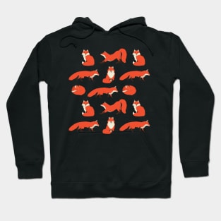 Foxes pattern Hoodie